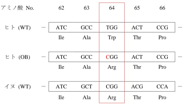 図 2-5 ADRB3 一次構造における 64 番目のアミノ酸の種間比較