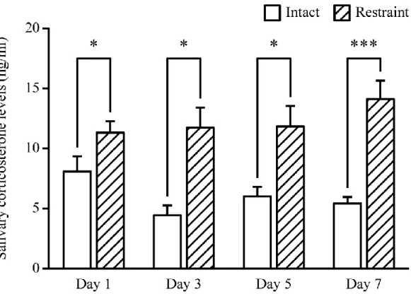 Fig. 4.1  同一個体の成熟雄性 ICR マウスを用いたストレス実験における唾液採取を目的とした 麻酔からの適切な回復期間の検討。唾液中 corticosterone 濃度を指標とした。拘束ス トレス負荷前 (Intact) における唾液採取から，1，3，5 及び 7 日間の間隔 (それぞれ