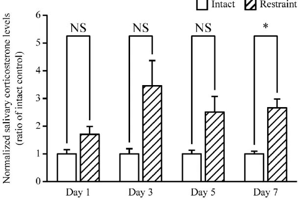 Fig. 4.2  同一個体の成熟雄性 ICR マウスを用いたストレス実験における唾液採取を目的とした 麻酔からの適切な回復期間の検討。Fig. 4.1 における拘束ストレス負荷後の唾液中
