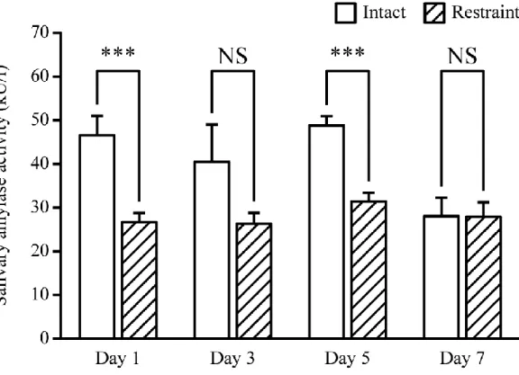 Fig. 4.4  同一個体の成熟雄性 ICR マウスを用いたストレス実験における唾液採取を目的と した麻酔からの適切な回復期間の検討。唾液 amylase 活性を指標とし，グラフは唾 液採取 (40 分間) の後半 20 分間の唾液 amylase 活性を表す。拘束ストレス負荷前 