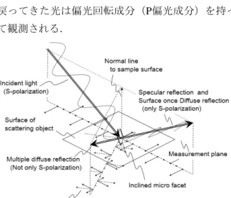 Fig. 2  Reflection types on a scattering object. Solid lines  represent S-polarization and broken lines  represent P-polarization