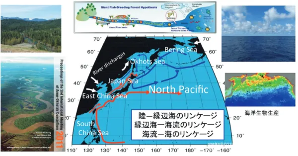 Figure 1：Schematic draw of the role of Pacific marginal seas in linking adjacent land with ocean