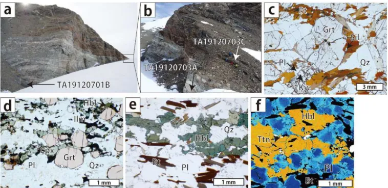Figure 1. Mode of occurrence and photomicrographs of analyzed samples. (a, b) Mode of occurrences and geological relations of analyzed  samples