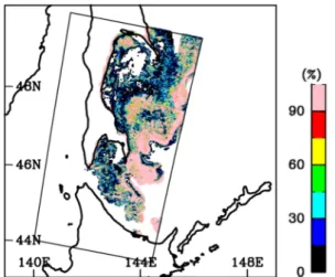 Figure 1. One examples of deformed ice area fraction,  determined by (1), on Feb 22, 2010