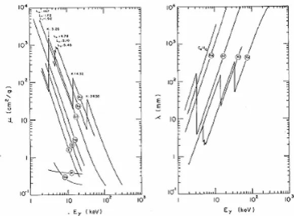 図 2.1: 主な気体の光電効果による光子の吸収断面積 ( 左 ) と mean free path( 右 )[3]