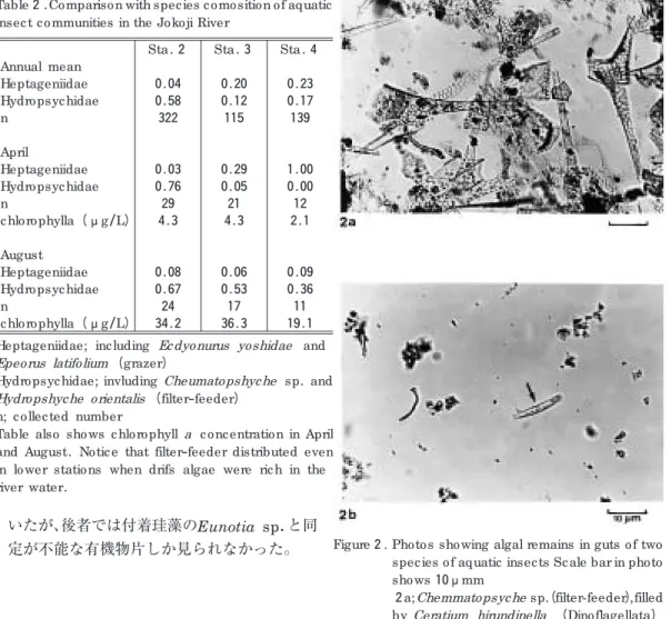 Table also shows c hlorophyll a c onc entration in April and August. Notic e that filter ‑feeder distributed even in lower stations when drifs algae were ric h in the river water.