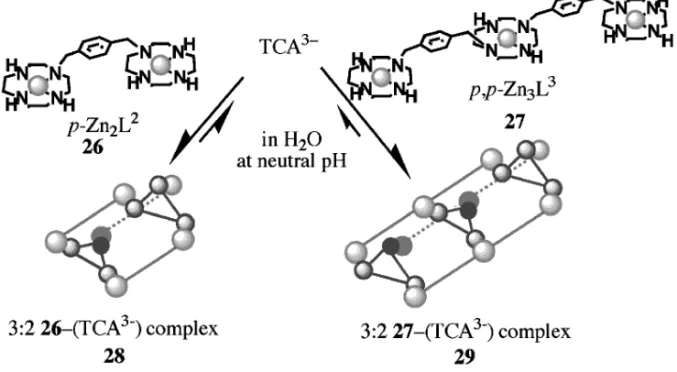 Fig. 8. Crystal Structure of the Supramolecular Trigonal Prism 29 Formed from 27 ( p,pZn 3 L 3 ) and TCA 3－ (a) Top View, (b) Side View, (c) Two TCA 3－ unit at edge, (d) TCA 3－ unit at the middel, (e) Three Phenyl Groups from three 27 units.