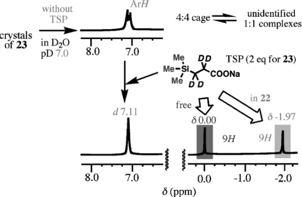 Fig. 4. Stabilization of the 4：4 Cage (23) by Guest (TSP) in Aqueous Solution as Revealed by 1 H NMR Spectra (at 35° C)
