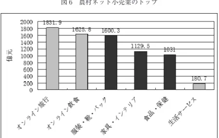 図 6 農村ネット小売業のトップ