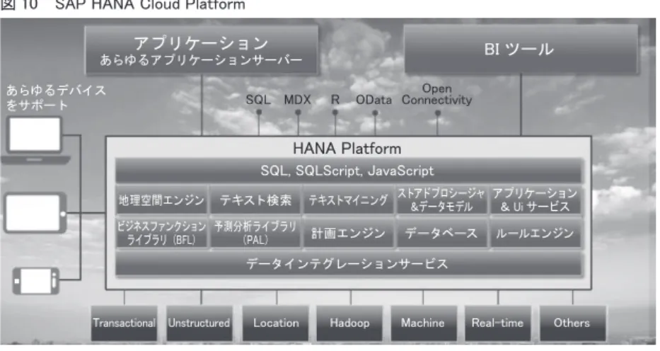 図 10　SAP HANA Cloud Platform