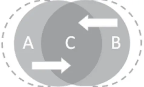 Figure 2: Maximizing the cultural space for synergy