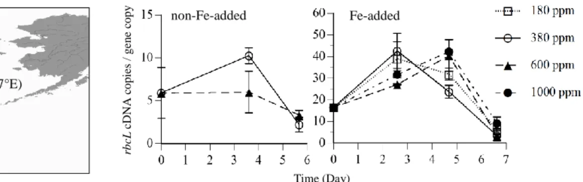 Figure 1. Sampling site of seawater for our  incubation experiment. 