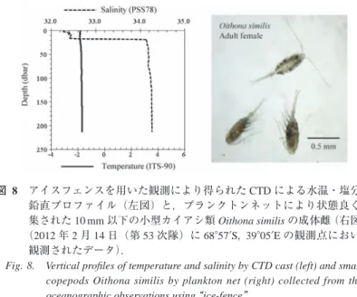 Fig. 8.    Vertical proﬁles of temperature and salinity by CTD cast (left) and small  copepods  Oithona  similis  by  plankton  net  (right)  collected  from  the  oceanographic observations using “ice-fence”.