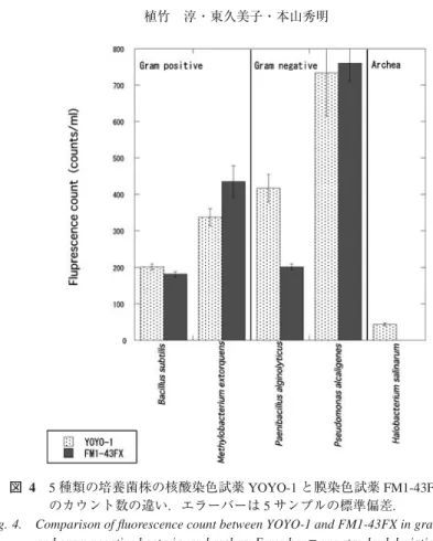 Fig. 4.  Comparison of fl uorescence count between YOYO-1 and FM1-43FX in gram positive  and gram negative bacteria, and archea