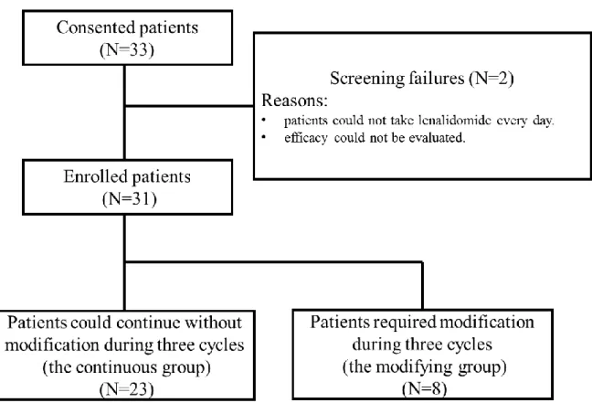 Fig. 5. Flowchart of patient enrollment 
