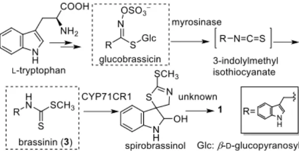 Fig. 3 Strategy for the construction of spirobrassinin (1)    and its derivatives. 