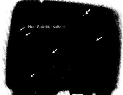 図 3 c 3 月 8 日に高度 7 4 8I ‑ 6 8 6 4  mで捕集されたエアロゾル粒子 SEM 像の一例．