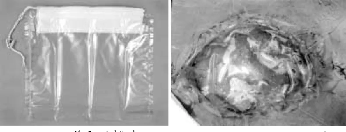 Fig. 1 a: Isolation bag