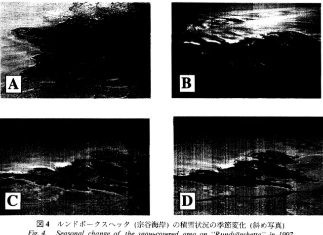図 4 ルンドボークスヘッタ（宗谷梅岸）の積雪状況の季節変化（斜め写真）