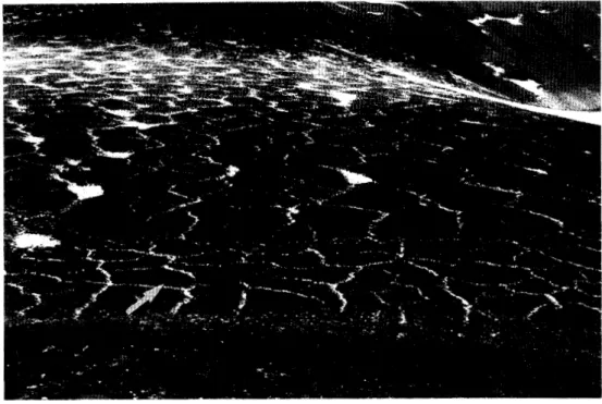 図 11 セールロンダーネ山地バルヌム山のモレーン原に発達する氷楔多角形土．降雪直後の ため，構造土境界の溝に雪が堆積し，模様を際だたせている．直径は 3 ‑ 1 5 m 