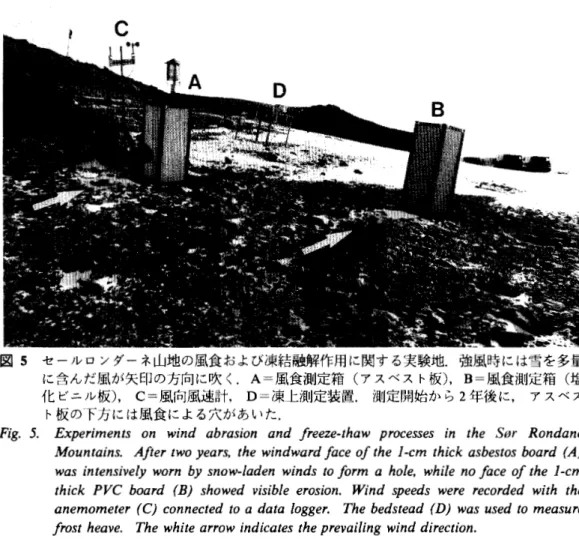 図 5 セールロンダーネ山地の風食および凍結融解作用に関する実験地．強風時には雪を多量 に含んだ風が矢印の方向に吹く. A = 風食測定箱（アスベスト板）， B= 風食測定箱（塩 化ビニル板）， C= 風向風速計， D = 凍上測定装置． 測定開始から 2 年後に， アスベス