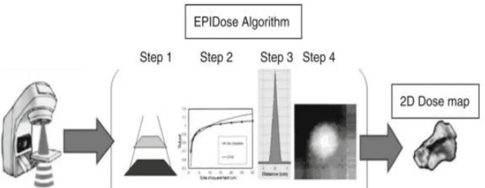 図 4-1  EPIDose を用いたフルエンスから線量への変換． 