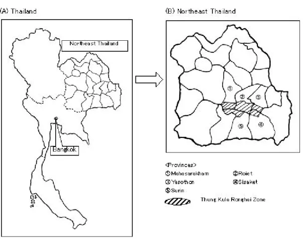Figure 3. Thung Kula Rong Hai Zone in Northeast Thailand       (by Miyata)
