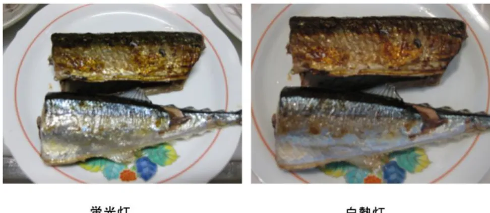 図 26 各照明にて撮影された食事画像（ Canon IXYDIGITAL25IS ）