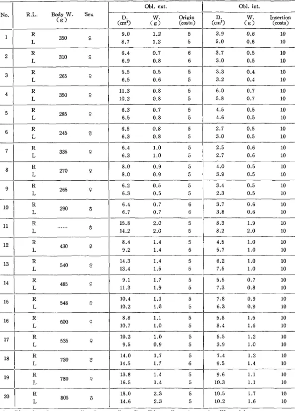 Table  4  Data  of the  muscles