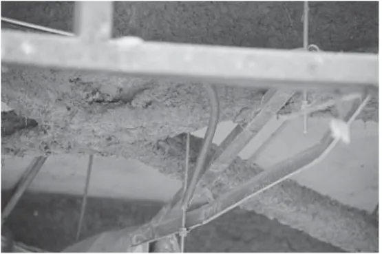 Figure 2. Crocidolite in the destroyed building