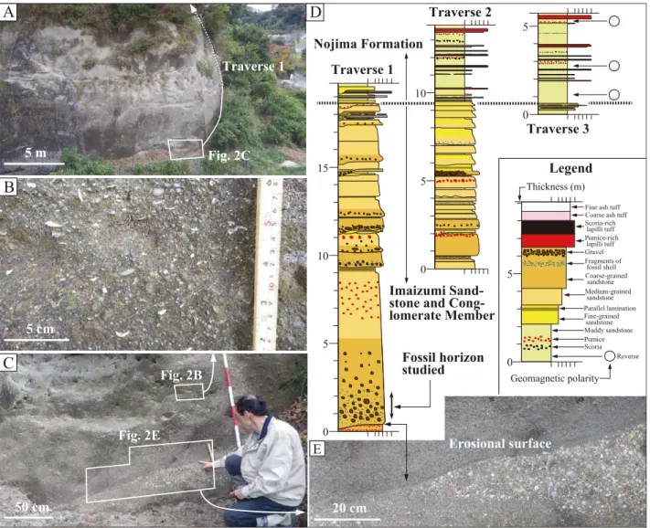 Fig. 2. Outcrops at the fossil locality (A, B, C, E), and geological columns of traverses 1‒3 (D)