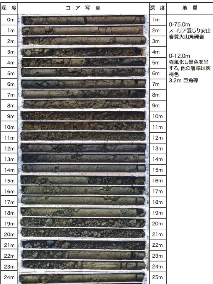 図 4.1  No.2 孔井で採取されたコアの写真