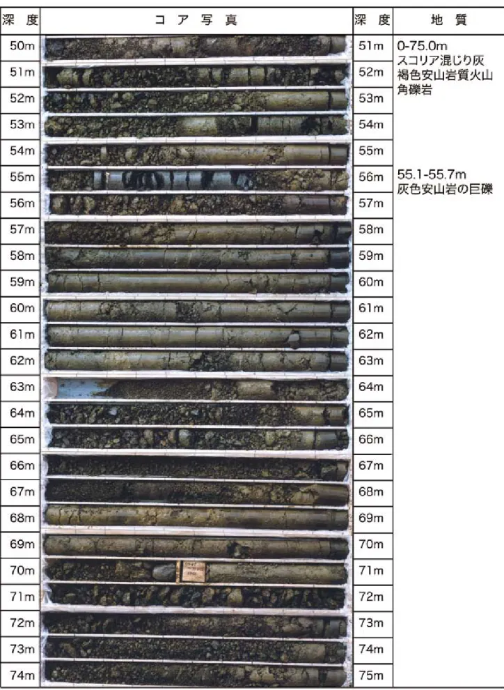図 4.3  No.2 孔井で採取されたコアの写真（つづき）