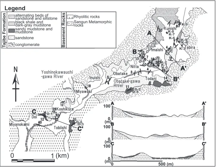Fig.  5 . Geological map with sample localities (O-1 to O-7 and K-1 to K-7) and geological cross-sections in the study area.