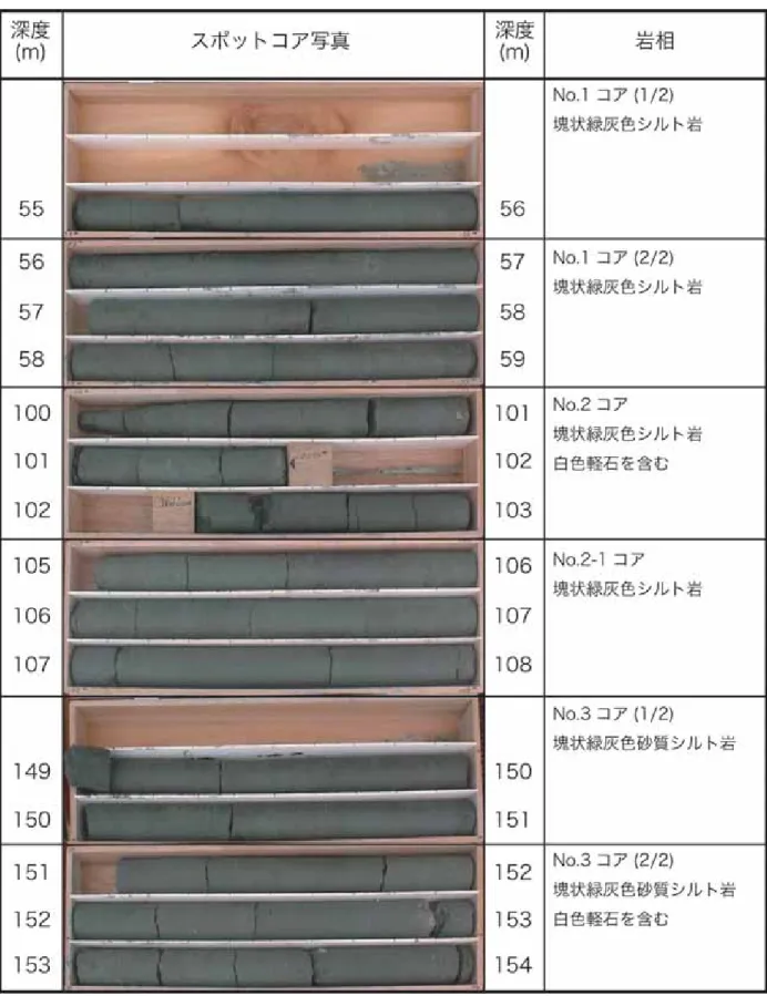 図 4a           スポットコア試料(55～154m)  の写真