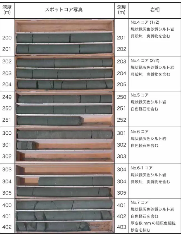図 4b           スポットコア試料(200～403m)  の写真