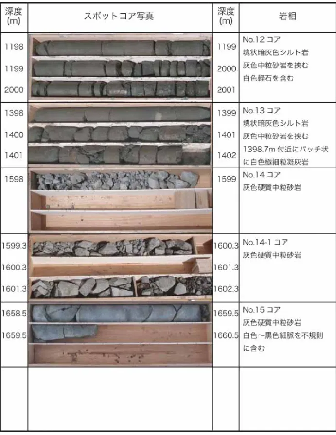 図 4d           スポットコア試料(1,198～1,660.5m)  の写真