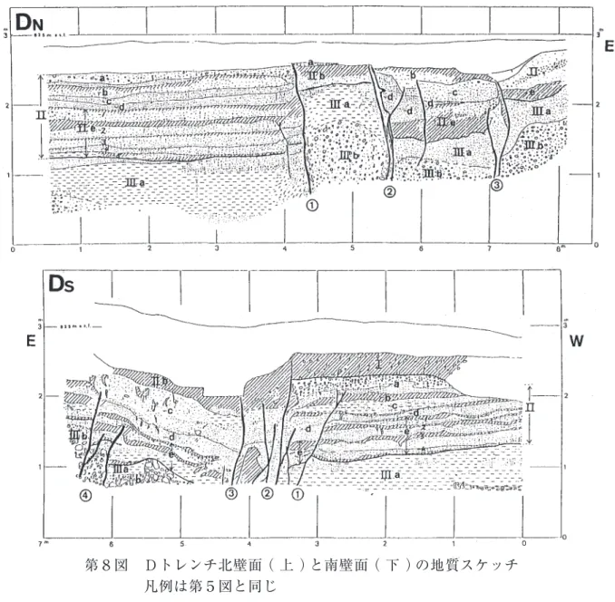 Fig. ８　Geologic sketch of the northern wall (upper) and the southern wall (lower) of trench D.