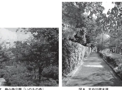 図 8 北白川疏水道