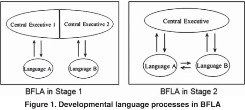 Figure 1. Developmental language processes in BFLA