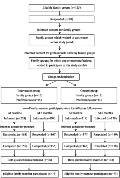 Figure 1. Flow diagram of the study subjects: Family groups, professionals, and family members
