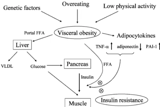 Figure 1. Proposed Mechanisms underlying the Metabolic Syndrome (Watanabe T et al). FFA, free fatty acids;