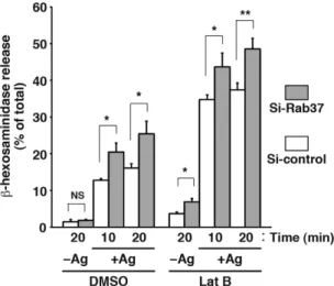Figure 3.  Rab37 knockdown increases the antigen-induced β-hexosaminidase release independent of  cortical F-actin integrity