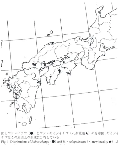 Fig. 1. Distributions of Rubus chingii （●） and R. ×calopalmatus （×, new locality★）. R