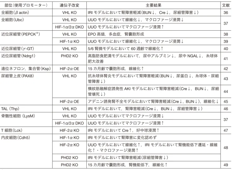 表 3 遺伝子改変マウスを用いた検討