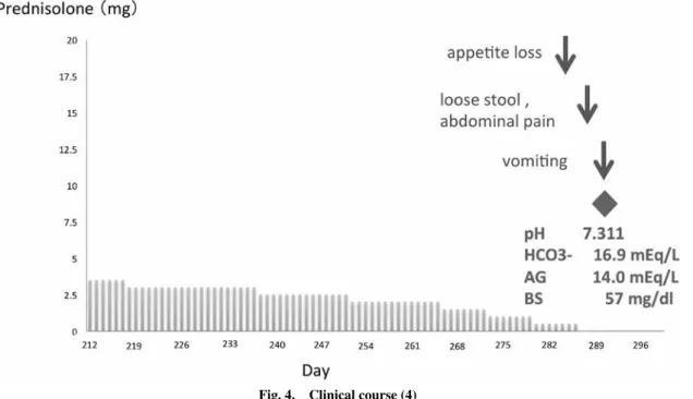 Fig. 4.　Clinical course (4)