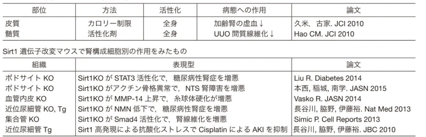 図 4    Sirt1 低下の診断マーカーとしての可能性