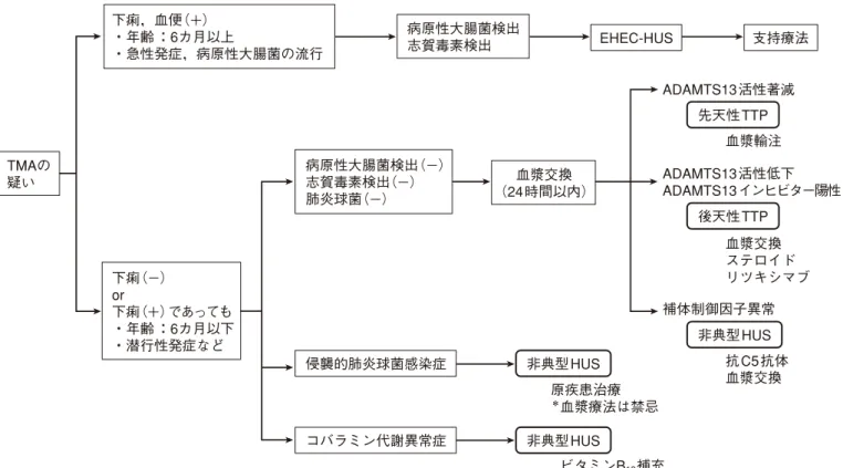 図  Thrombotic microangiopathy （ TMA ）の診断・治療フローチャート （文献 2 より引用，改変）