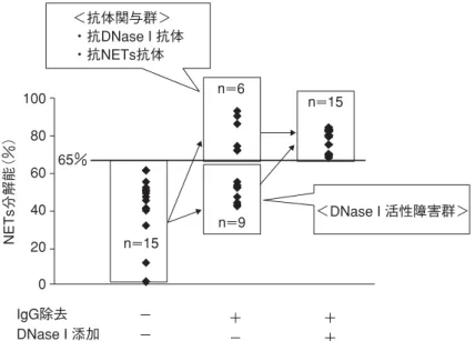 図  6 NETs-ANCA vicious cycle