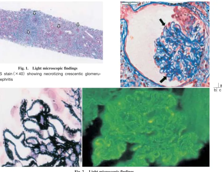 Fig.  2. Light microscopic findings